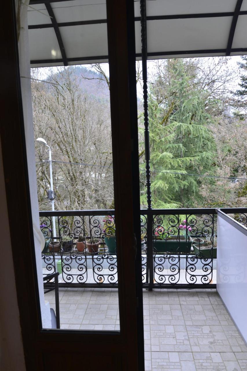 Hotel Victoria Borjomi Dış mekan fotoğraf